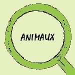 Dossier animaux